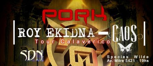 [1212639856_f%255B2%255D.jpg]