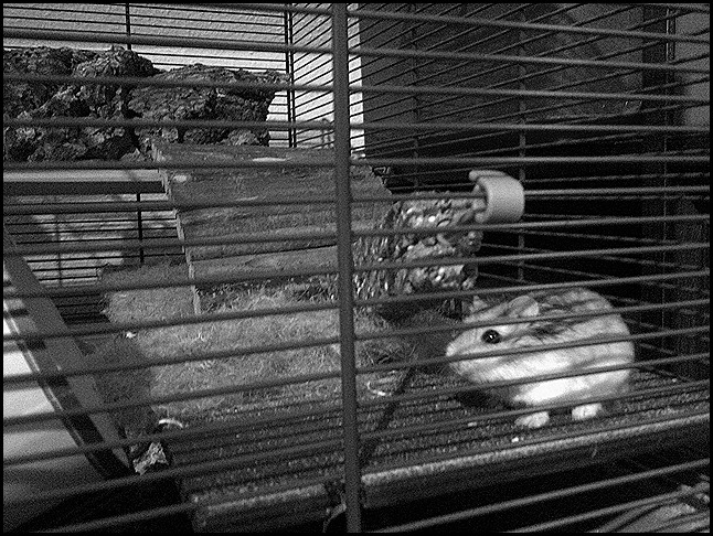 IMG-20110717-00180 - Kopie