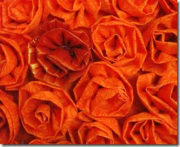 Pumpkin Roses 3