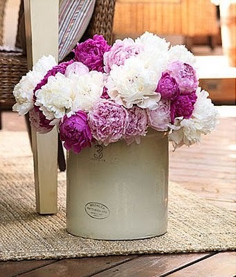 [peonies%255B5%255D.jpg]