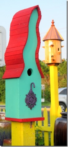 crazy bird house