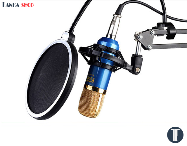Micro hát karaoke online Kool Sound BM-800