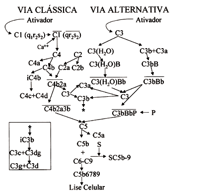 a29fig02[8]