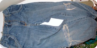 jeans to shorts D1