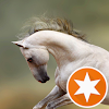 Das tapfere Pferd Das tapfere Pferd