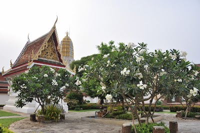 DSC_0061.JPG