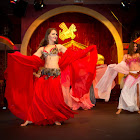 IMG_8378.JPG