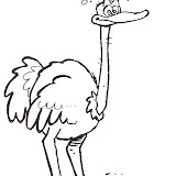 avestruz-3.jpg