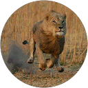 Image Google de Cathie Despotovic