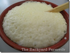 The Backyard Farmwife - Tea Party Scones