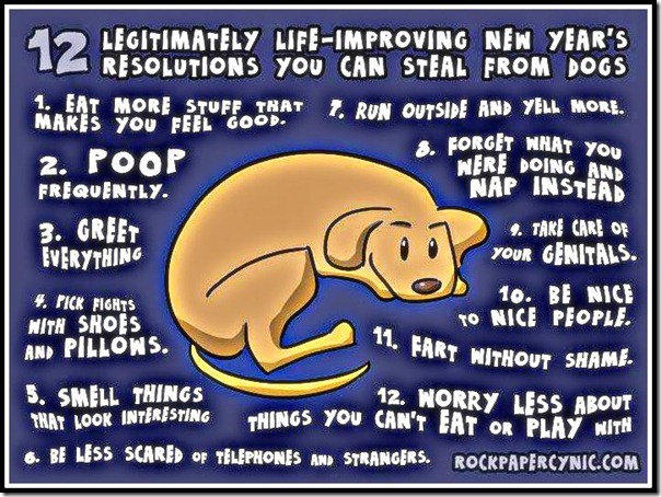 Dogs new years resolutions