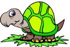 [tortoise%255B5%255D.jpg]