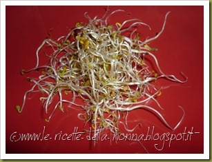 Spaghetti cacio e pepe con germogli misti (1)