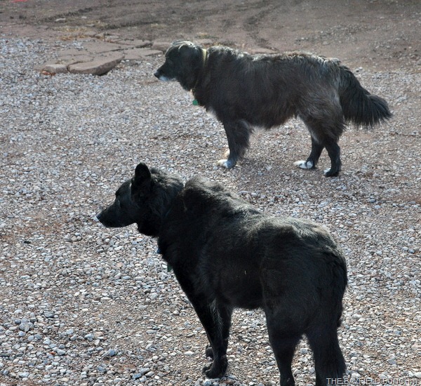 [DSC_0020%255B4%255D.jpg]