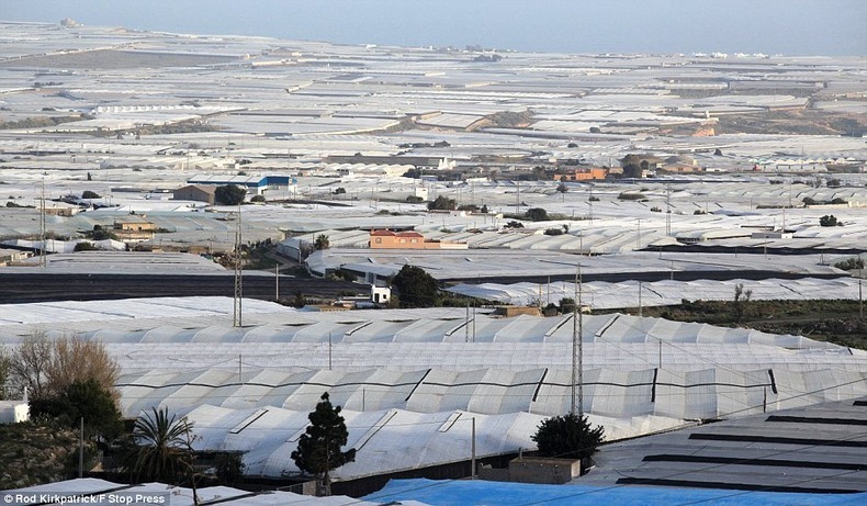 greenhouses-almeria-7