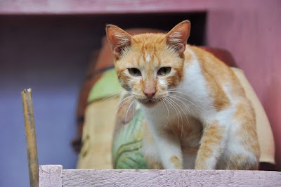 DSC_0365.jpg