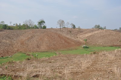 DSC_0229.JPG