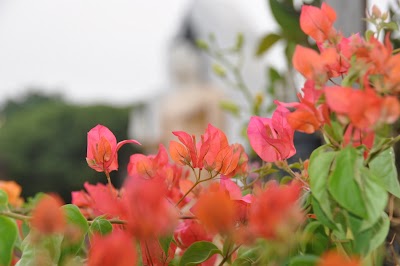 DSC_0075.JPG