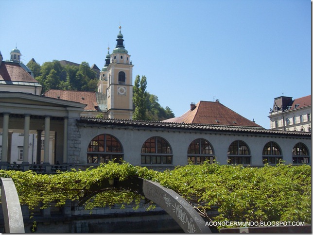 144-Liubliana-Trasera del Mercado Central y catedral-SDC14685