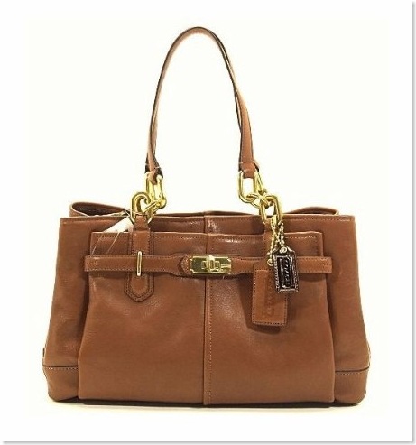 leather carryall