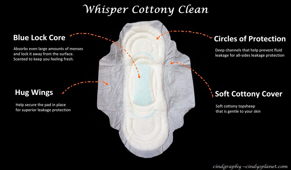 [Whisper%2520Cottony%2520Clean%2520%25282%2529%255B2%255D.jpg.webp]