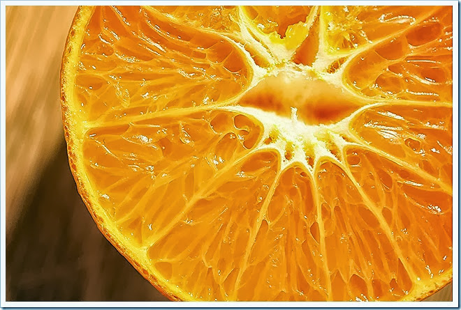 orange-free-pictures-1 (748)