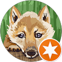 Roberto Morini profile picture