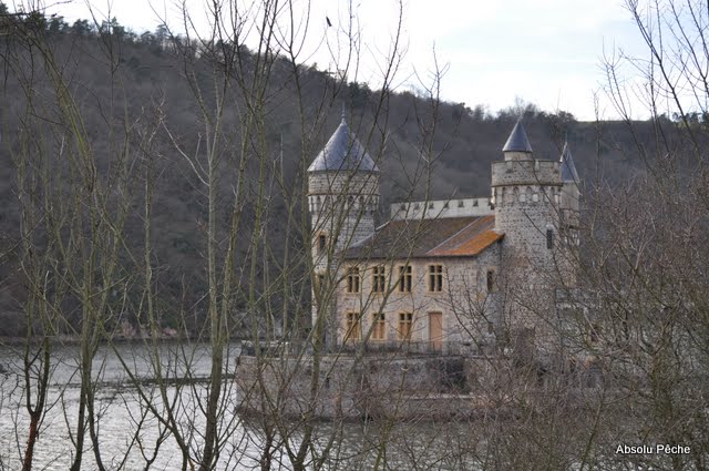 La Loire au château de la Roche photo #796