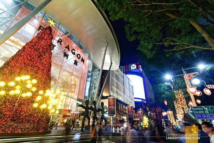 A Giant Christmas Tree at Singapore's Orchard Road
