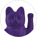Image Google de S R