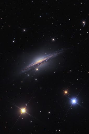 Ascw31447