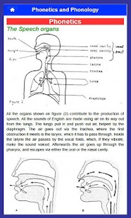 免費下載教育APP|Phonetics & Phonology english app開箱文|APP開箱王
