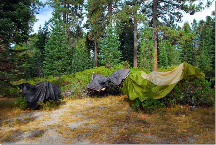 Drying Tent