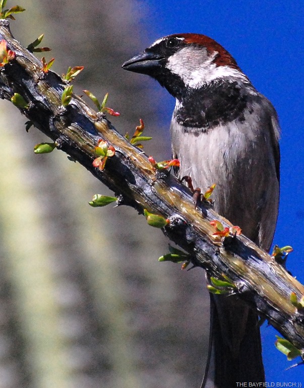 [DSC_8677%255B3%255D.jpg]