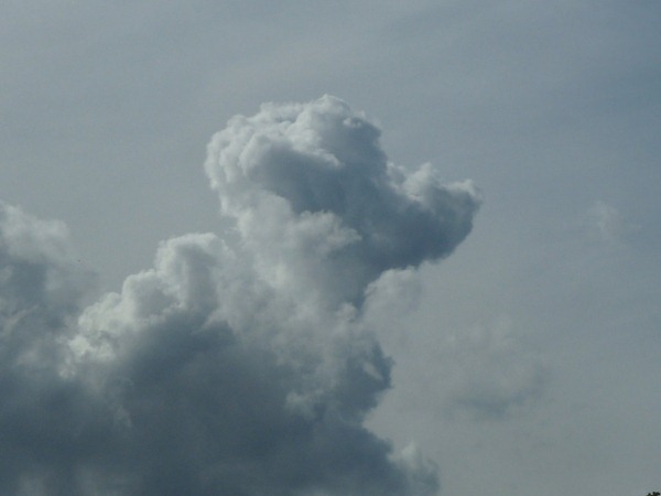 poodle cloud 1