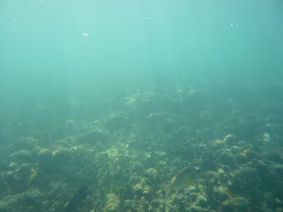 P1050272.JPG