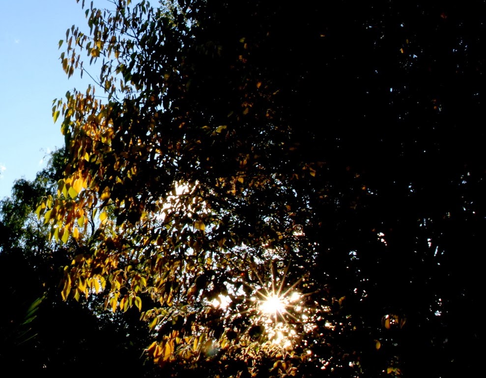 [IMG_8398%255B3%255D.jpg]