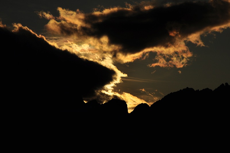 DSC_8252.JPG DSC 8252