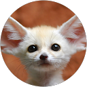 Image Google de Edouard Lacu