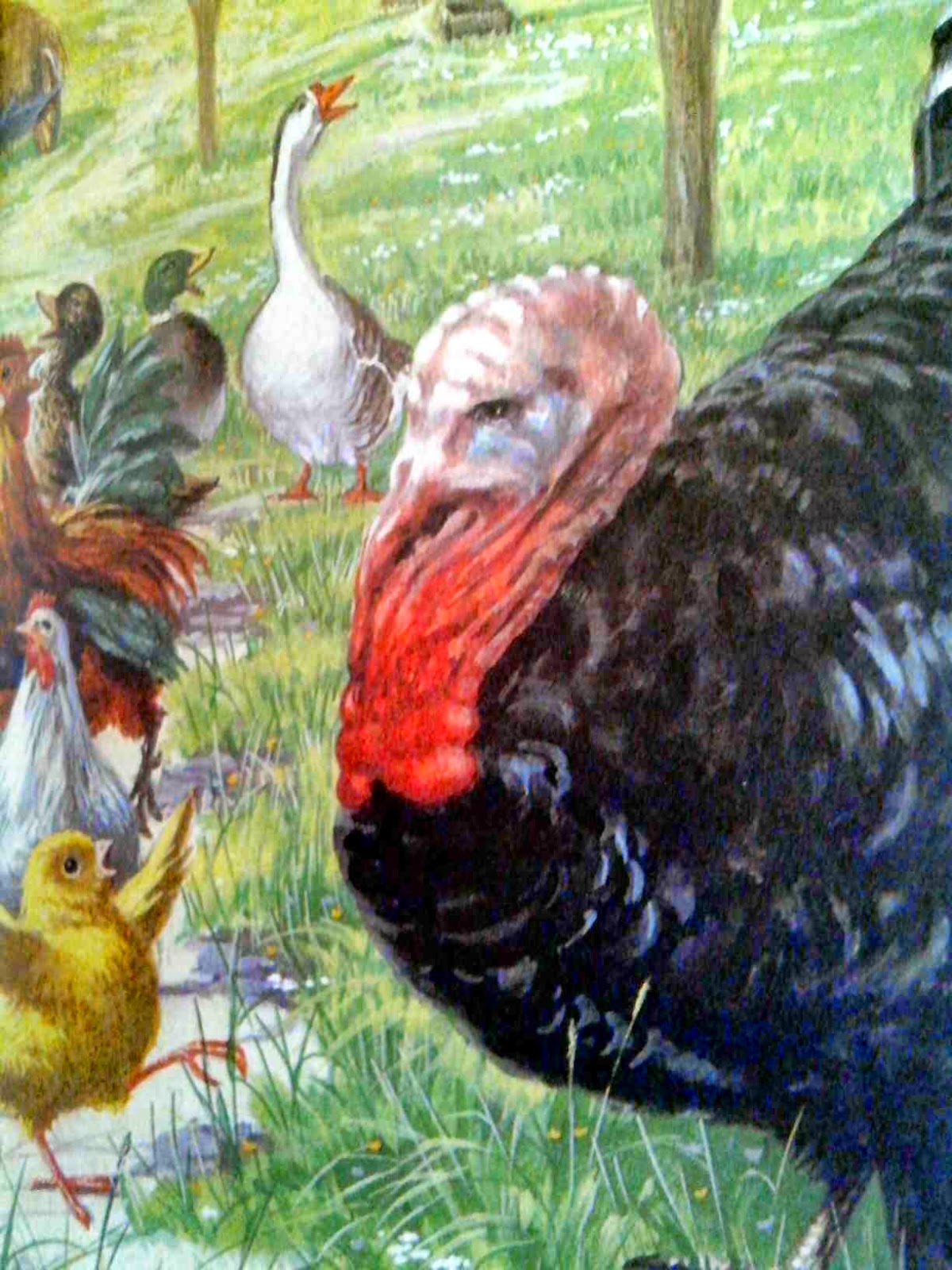 NALASJEBANG napak tilas jejak bangsaku Buku "Well Loved TalesChicken