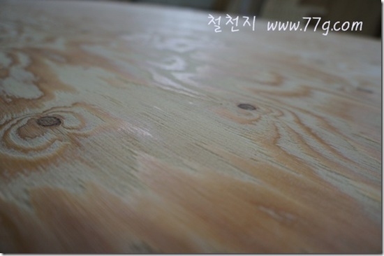 철천지DSC00945-20120511-143027
