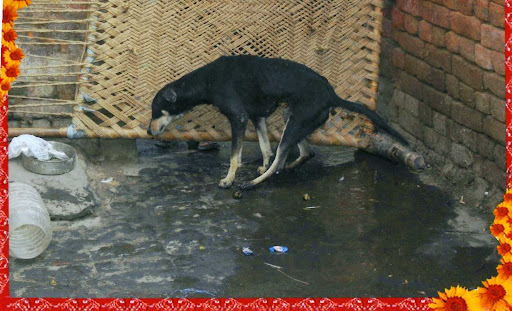 Painted Houses in Allihies. See in Google Earth; Share on: