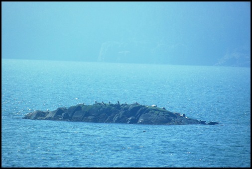 Liberty Point hike Campobello 300