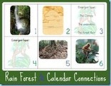 Rain-Forest-Calendar-Connections-web