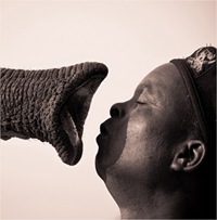 Fotografías del concurso de National Geographic Contest 2011