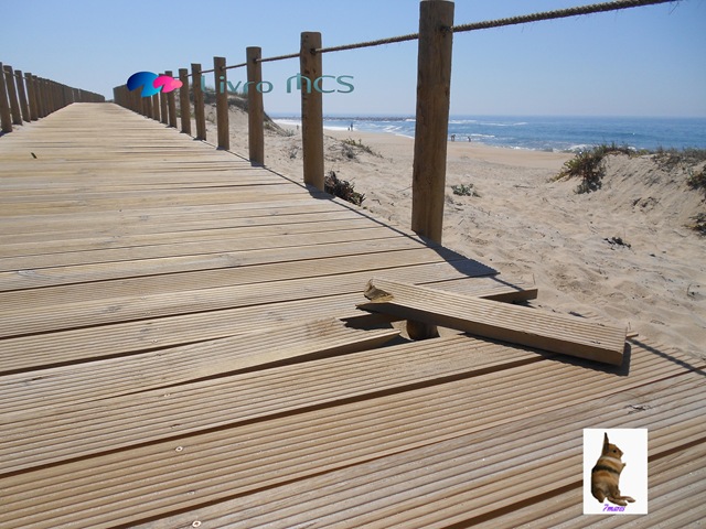 [Bolg%2520Gazeta%2520de%2520Espinho010%2520Livro%2520MCS%255B2%255D.jpg]