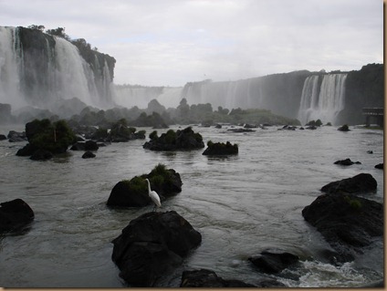 From Curitiba to Iguacu Falls (252)