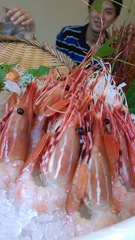 [2012-05-05%252012.46.53%255B8%255D.jpg]