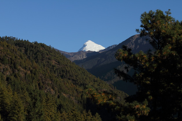 Snow capped Jomolhari Peak as seen from Drugyel Dzong, Bhutan