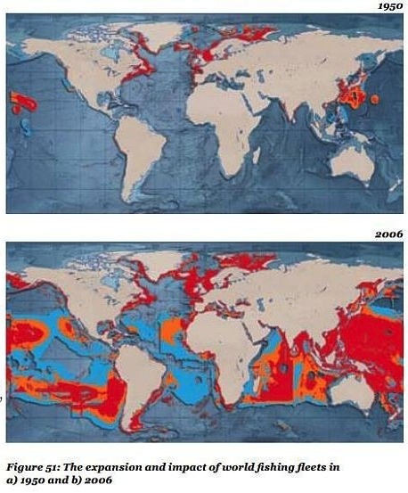 Fishing WWF overfishing chart